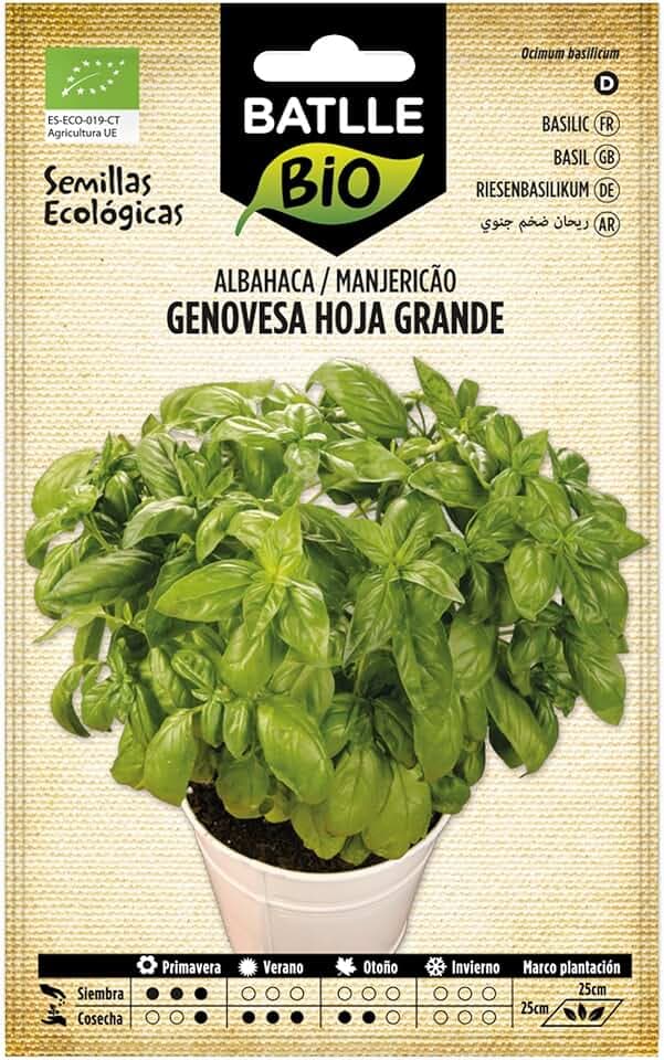 Semi bio - foglie grandi di basilico genovese (1050 semi - biologico)