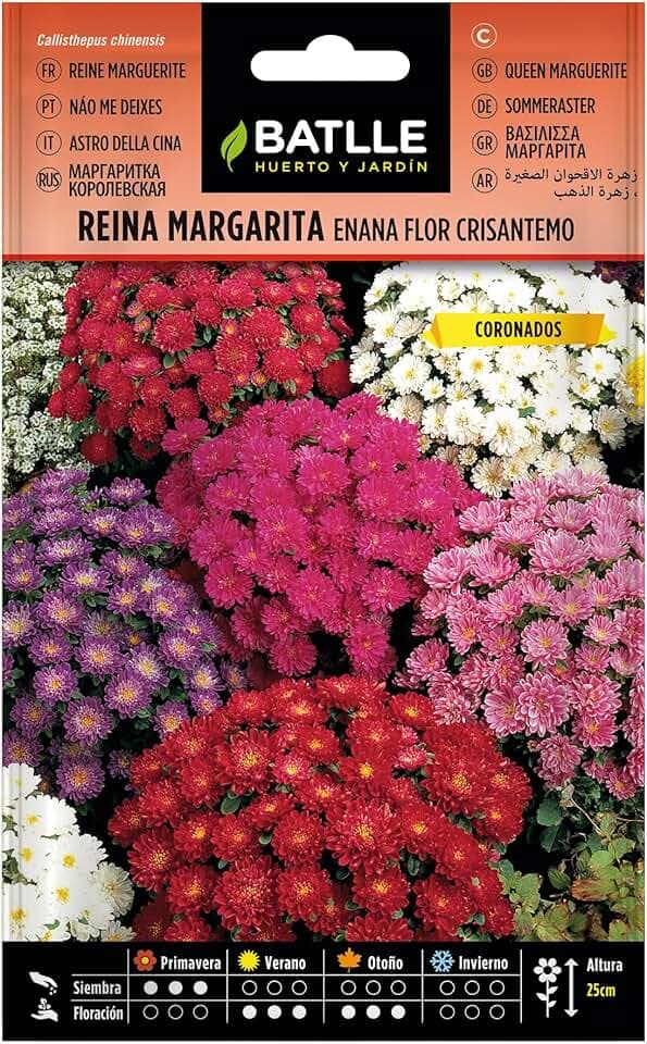 Batlle - Semi di Fiori - Astro della Cina Nano Crisantemo, Assortiti