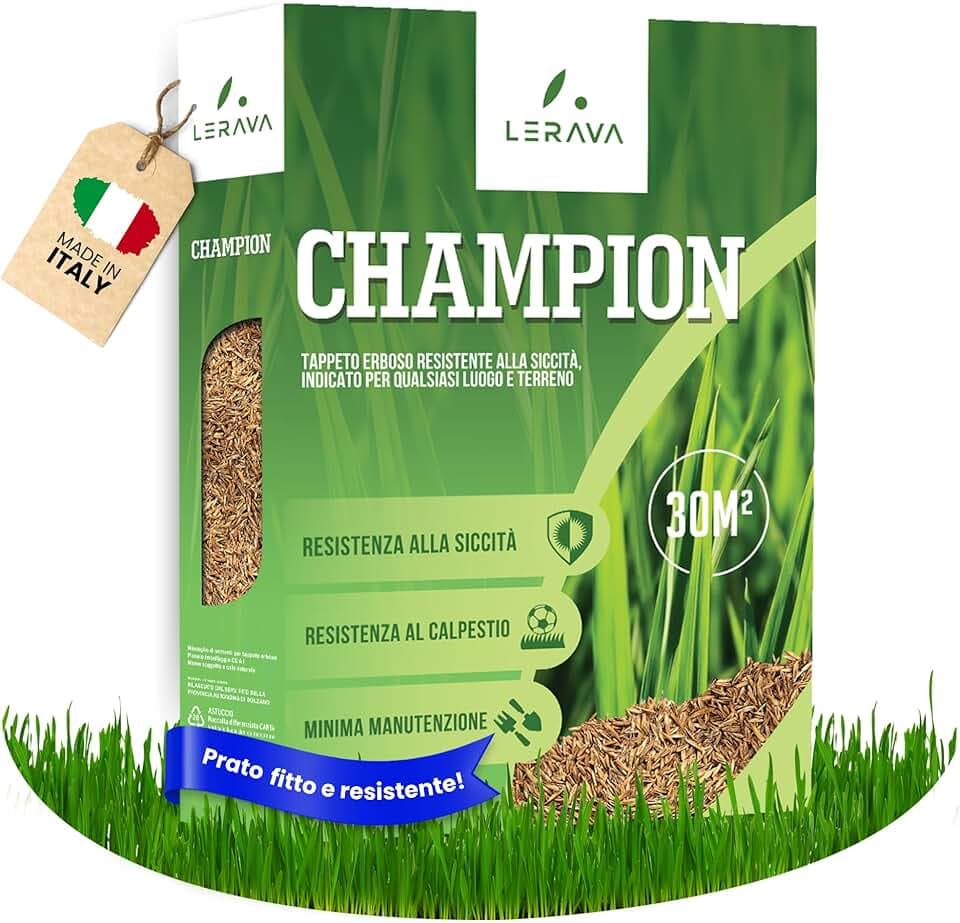 LERAVA CHAMPION semi prato (30m²) - festuca arundinacea di qualità - resistente a siccità e alte temperature - prato verde scuro fine - ideale per giardini e spazi verdi