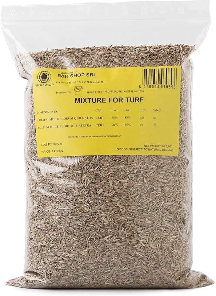 Semi per Prato Resistente, Loietto, Crescita Rapida e Calpestabile, Adatto a tutti i tipi di Terreno (900gr - 35mq)