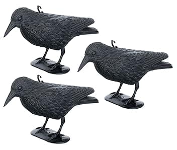 Brandsseller Corvo Nero in Plastica 36 x 20 cm Repellente per Piccioni Deterrente per Uccelli Contro Piccoli Uccelli e Piccioni Spaventatore per Animali - Set da 3