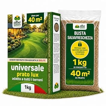 Albagarden - Semi Prato Universale Resistente - 40m² - Per Zone Ombreggiate e Soleggiate - Sementi Erba per Tappeti Erbosi Inverno Estate - Calpestabile - Rapida Crescita per ogni tipo di Terreno