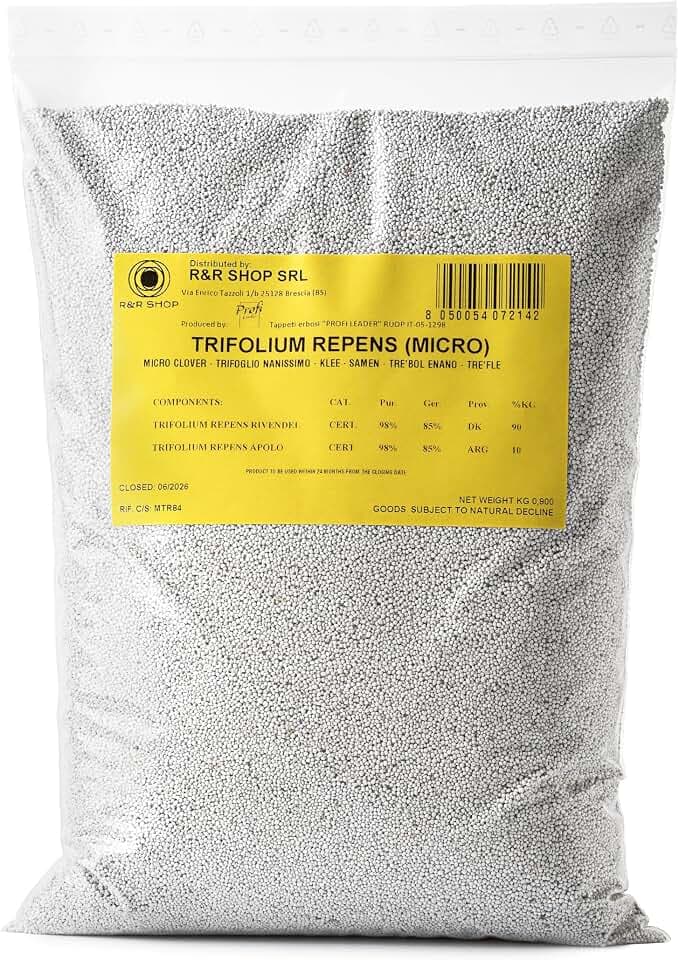 Semi per Prato, Trifoglio Nanissimo Trifolium repens, Non richiede Taglio, Calpestabile e Tappezzante (200g – 50m²)