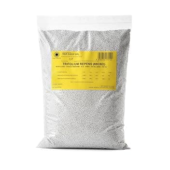 Semi per Prato, Trifoglio Nanissimo Trifolium repens, Non richiede Taglio, Calpestabile e Tappezzante (200g – 50m²)