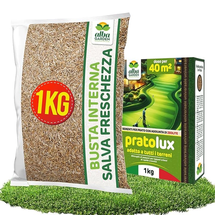 Albagarden - Semi Prato Universale Resistente - 40m² - Per Zone Ombreggiate e Soleggiate - Sementi Erba per Tappeti Erbosi Inverno Estate - Calpestabile - Rapida Crescita per ogni tipo di Terreno