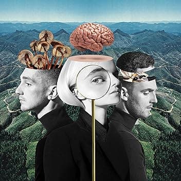 Symphony (feat. Zara Larsson)