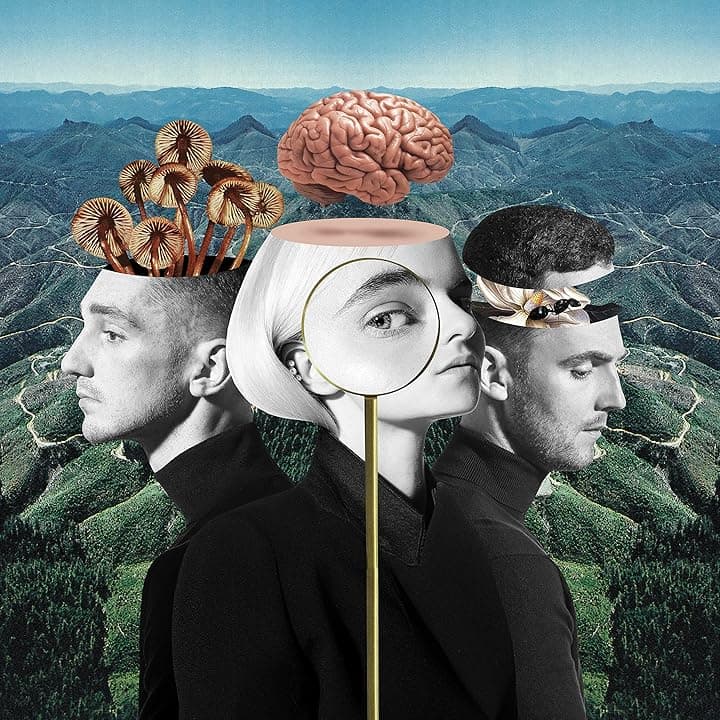 Symphony (feat. Zara Larsson)