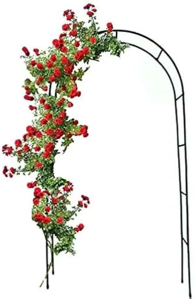 BRICOZONE Arco da Giardino in Metallo Supporto per Rampicanti Sostegno Pergolato per Rose Fiori Piante Vite Decorazione Viali Ideale per Matrimoni ed Eventi 240 x 140 x 38 cm Colore Verde Scuro