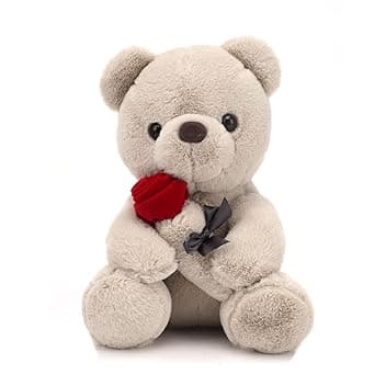 Orsacchiotto con Rosa in Peluche 23 cm - Morbido Peluche per Bambini e Ragazze, San Valentino, Compleanni, Mamma e Decorazione Casa