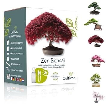 CULTIVEA Kit Zen Bonsai – Bonsai Kit Completo con 6 Varietà da Coltivare: Acero Rosso, Cercis Cinese, Albizia, Cornus Kousa, Abete Rosso e Juniperus – Idea Regalo per Amanti delle Piante