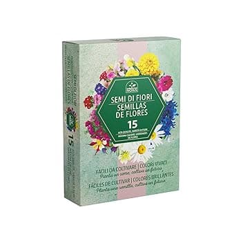 Flower Seed Collection Cottage Garden & Border Favorites, ispirato alla Horticultural Society, nonOGM, semi di qualità