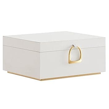 SONGMICS SONGMICS Scatola Portagioie a 2 Livelli, Porta Gioielli con Maniglia, Vassoio Rimovibile, Effetto Fluttuante, 20,5 x 24 x 11 cm, Idea Regalo, Bianco JBC165W01