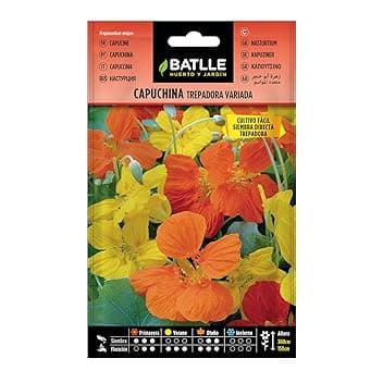 Battle- Semi di Fiori, nasturzio Assortito