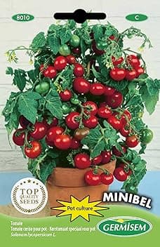 Germisem Minibel Semi di Pomodoro 0.5 g