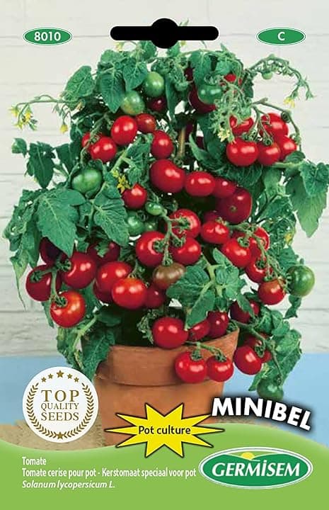 Germisem Minibel Semi di Pomodoro 0.5 g