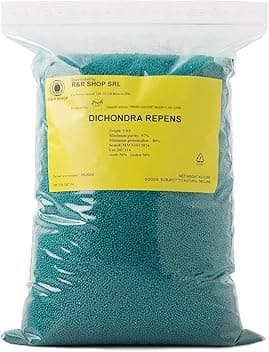 Semi Per Prato, Dichondra Repens, Origine Usa, Resistente E Decorativo (200gr - 20mq)