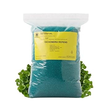 Semi Per Prato, Dichondra Repens, Origine Usa, Resistente E Decorativo (200gr - 20mq)