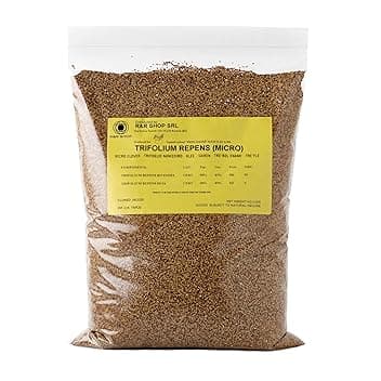 Semi per Prato, Trifoglio Nanissimo Trifolium repens, Non richiede Taglio, Calpestabile e Tappezzante (200g – 50m²)