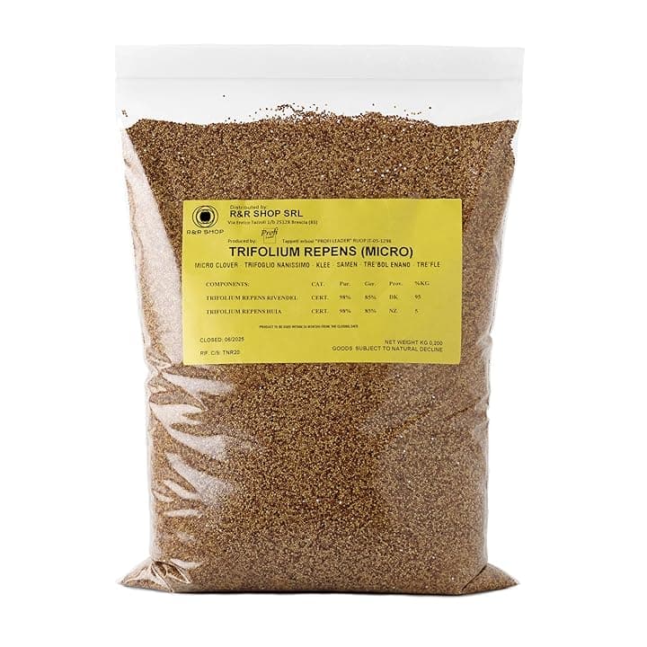 Semi per Prato, Trifoglio Nanissimo Trifolium repens, Non richiede Taglio, Calpestabile e Tappezzante (200g – 50m²)
