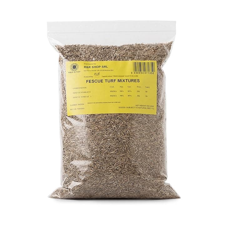 Semi per Prato, Festuca Arundinacea, Resistente e Duratura (500gr - 20Mq)