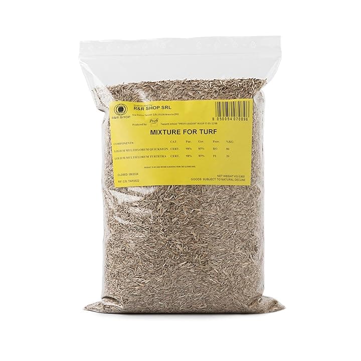 Semi per Prato Resistente, Loietto, Crescita Rapida e Calpestabile, Adatto a tutti i tipi di Terreno (900gr - 35mq)