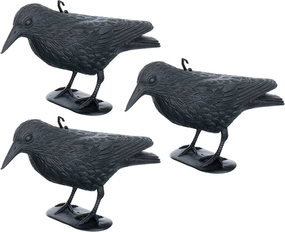 Brandsseller Corvo Nero in Plastica 36 x 20 cm Repellente per Piccioni Deterrente per Uccelli Contro Piccoli Uccelli e Piccioni Spaventatore per Animali - Set da 3