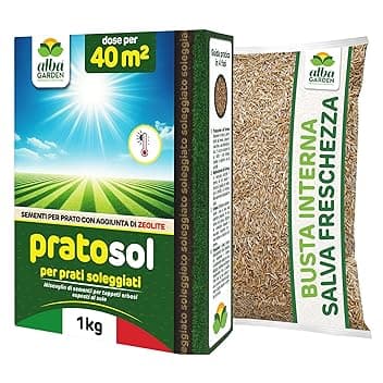 Albagarden - Semi Prato Resistente Alla SiccitΓ - 40mΒ² - Sementi Erba per Tappeti Erbosi per Zone Soleggiate - Calpestabile - Rapida Crescita per ogni tipo di Terreno