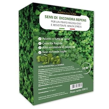 AGRI-CULTURA® | Dicondra Semi 50 m² | Semina 20–25°C | Prato Senza Manutenzione, Alta Resistenza alla Siccità e al Calpestio | Semi di Dichondra Repens per Zone Ombreggiate e di Sole.
