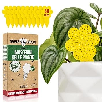 Super Ninja Trappole anti Moscerini delle Piante - 30 Pezzi, Esche Adesive Eco, Catturano i Moscerini del Terriccio in Casa, Senza Insetticidi, Sicure per uso Interno/Esterno, Durata 3 Mes