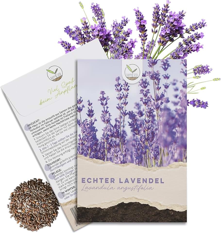 300 semi di lavanda ad alto tasso di germinazione – pianta medicinale versatile e ideale per api e farfalle (incluso eBook gratuito)
