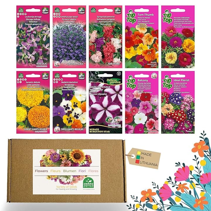 Nojus - Set di semi di fiori – Semi di fiori 10 varietà – Semi di fiori da balcone – Semi di piante colorate – 10 confezioni – Semi di fiori selvatici – Sacchetto di semi di fiori